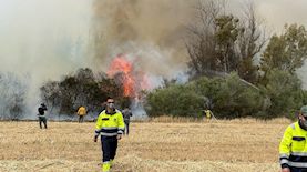 עובדי קקל, צילום: עובדי ויערני קק"ל
